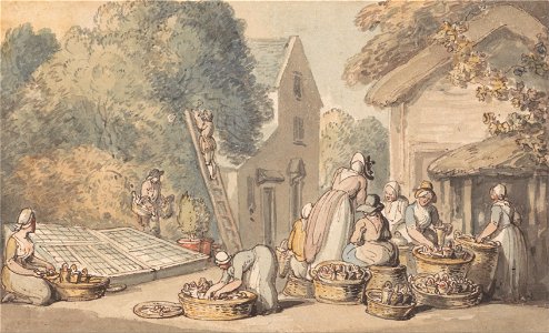 Thomas Rowlandson - Picking Mulberries - Google Art Project