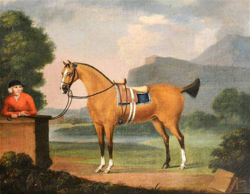 Thomas Stringer (1722-1790) - A Dun Horse, with Its Groom - 1420371 - National Trust