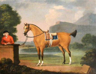 Thomas Stringer (1722-1790) - A Dun Horse, with Its Groom - 1420371 - National Trust