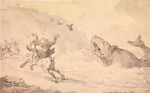 Thomas Rowlandson - Dr Syntax Alarmed by a Whale - Google Art Project