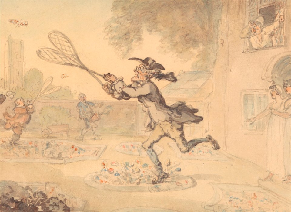 Thomas Rowlandson - Butterfly Hunting - Google Art Project