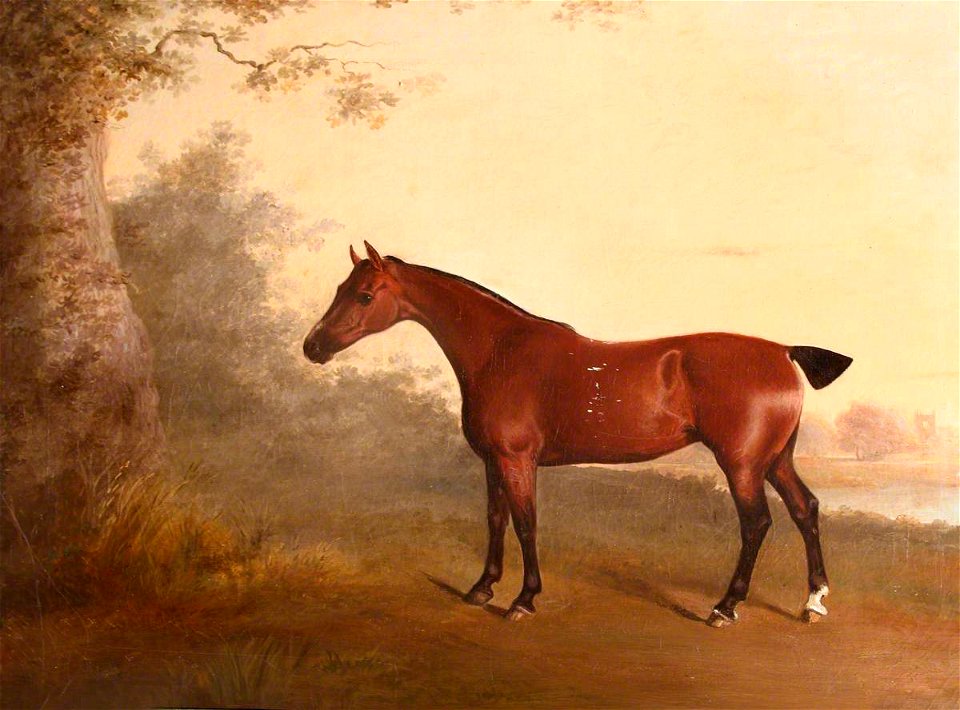 Thomas Woodward (1801-1852) - A Chestnut Hunter, Known as 'The Old Chestnut', with Chastleton House in the Distance - 1430486 - National Trust
