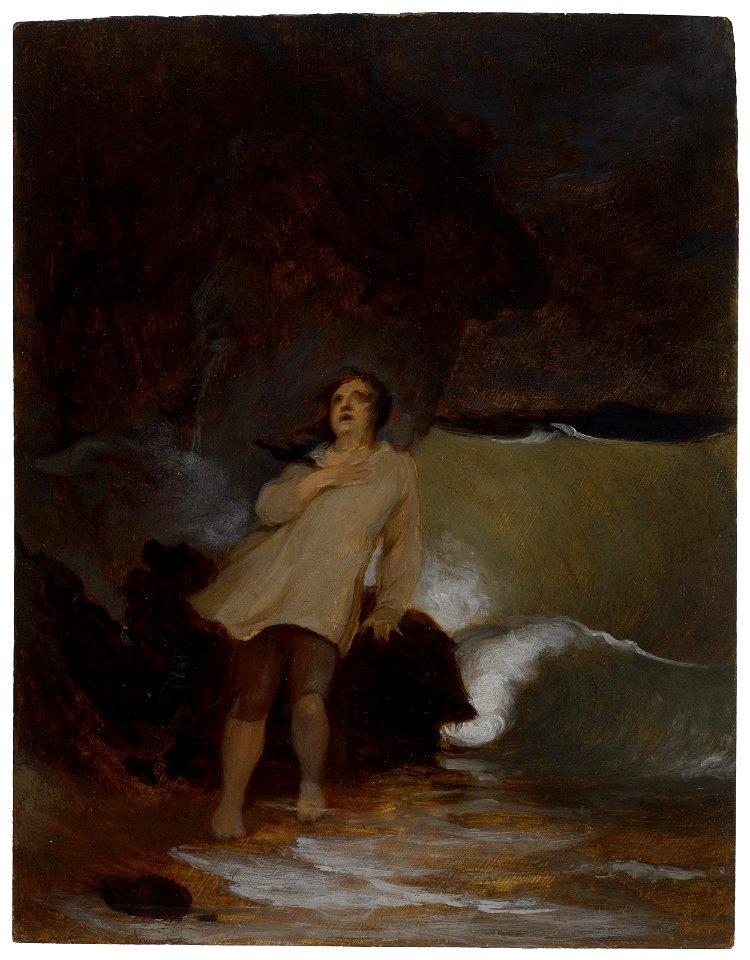 Thomas Sully - The Shipwreck of Robinson Crusoe - 28.5 - Museum of Fine Arts
