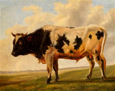 Thomas Sidney Cooper (1803-1902) - Friesian Bull in a Landscape - 1411114 - National Trust
