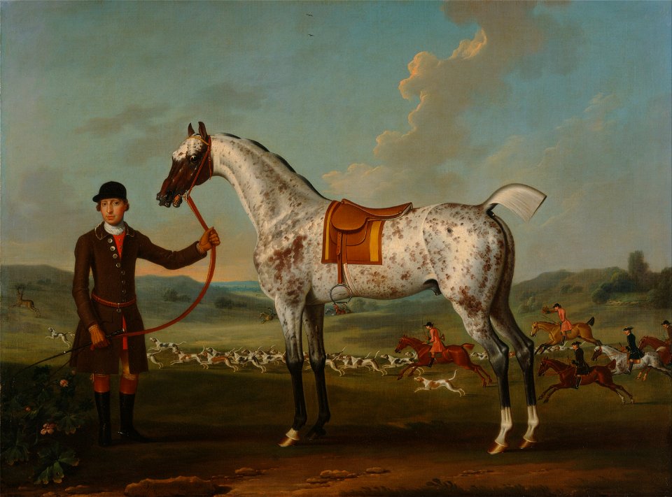 Thomas Spencer - Scipio, a spotted hunter, the property of Colonel Roche - Google Art Project