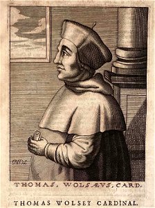 Thomas Wolsey, cardinal