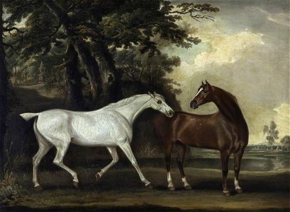 Thomas Weaver (1774-1843) - A Grey and a Bay Horse, 'Snowdrop' and 'Nimble' - 1271083 - National Trust