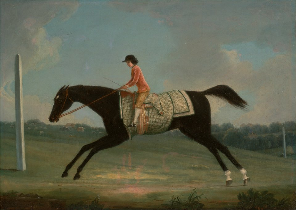 Thomas Smith of Derby - Borlase Cokayne as a Boy riding Sultana - Google Art Project