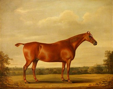 Thomas Weaver (1774-1843) - A Bay Stallion in a Landscape - 609103 - National Trust