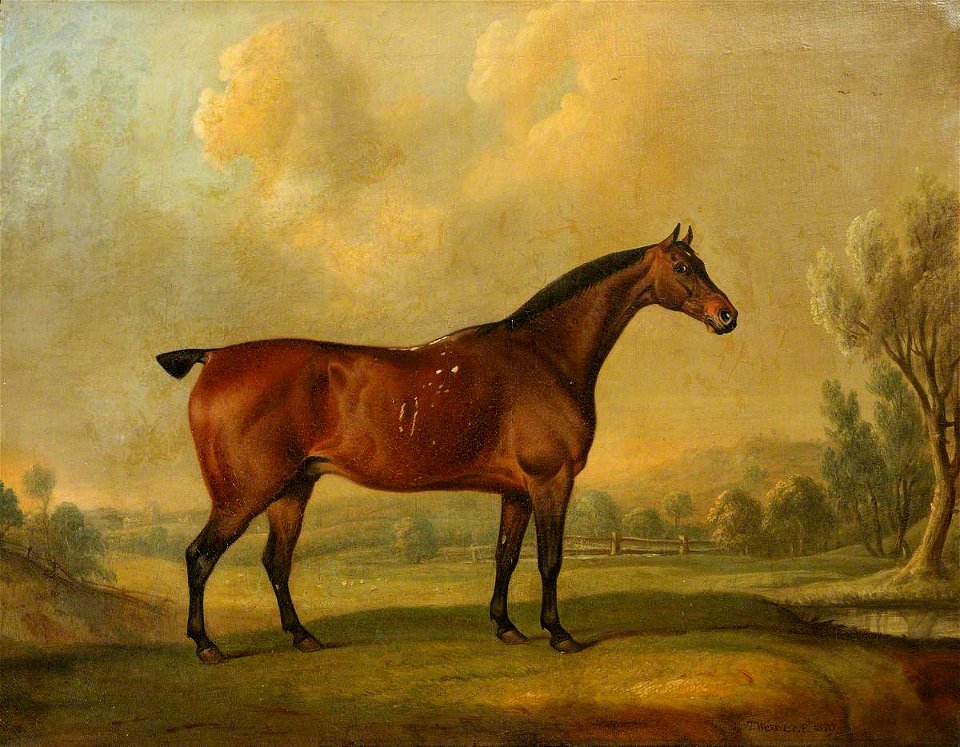 Thomas Weaver (1774-1843) - A Chestnut Stallion in a Landscape - 609102 - National Trust