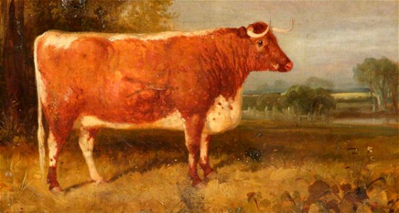 Thomas Woodward (1801-1852) - 'Daisy', A Longhorn Cow in a Landscape, the Property of John Henry Whitmore-Jones of Chastleton - 1430460 - National Trust