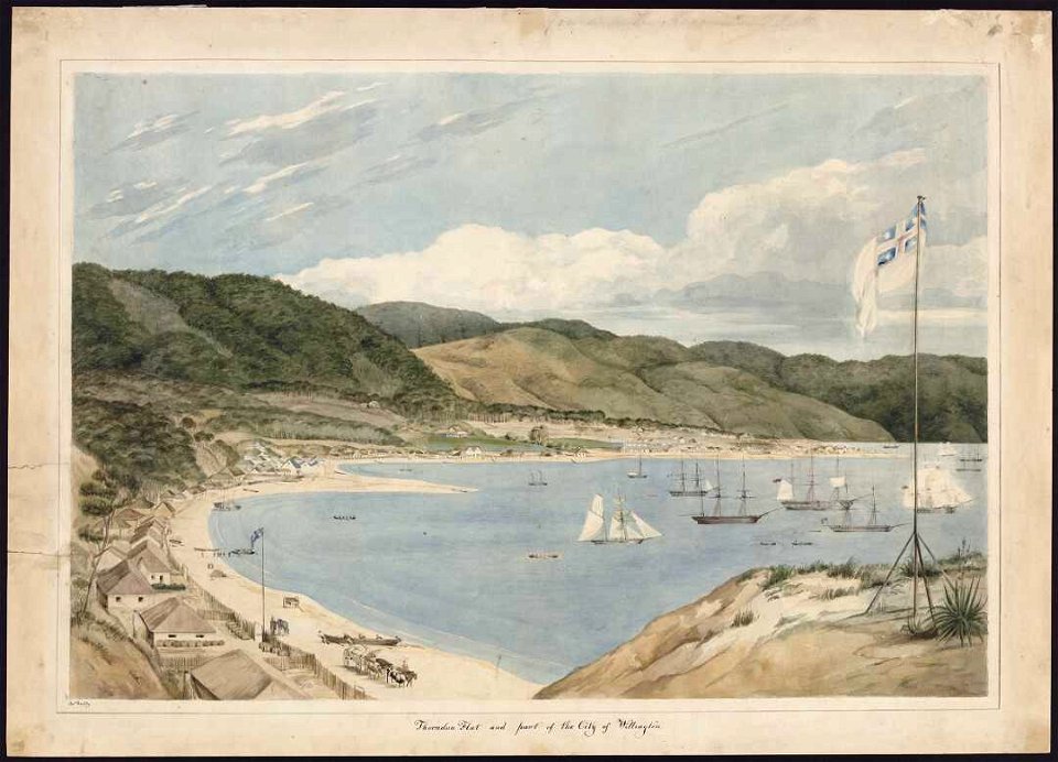 Thorndon Flat and part of the city of Wellington. C-025-010