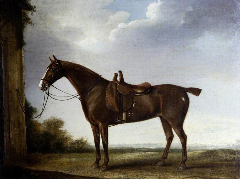 Thomas Weaver (1774-1843) - A Chestnut Hunter Saddled for a Lady - 1271091 - National Trust