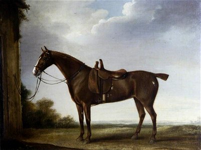 Thomas Weaver (1774-1843) - A Chestnut Hunter Saddled for a Lady - 1271091 - National Trust