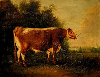 Thomas Weaver (1774-1843) - A Prize Longhorn Bull - 290479 - National Trust