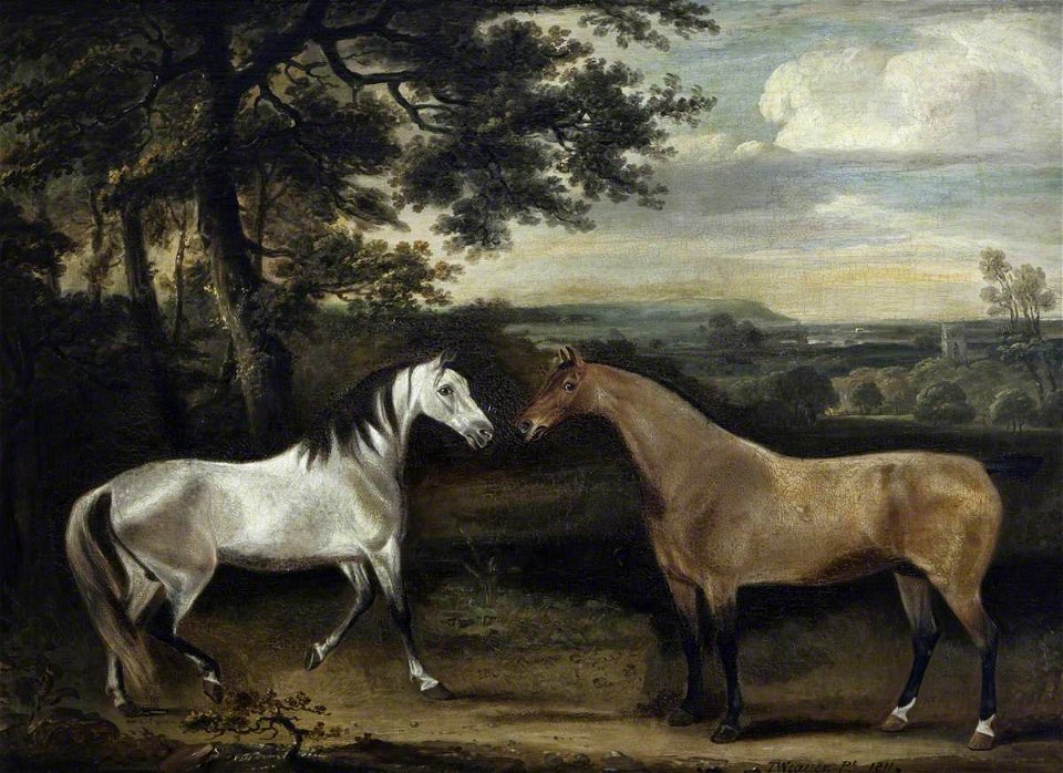 Thomas Weaver (1774-1843) - A Grey Mare, 'Rose', and a Portuguese Bay Hunter - 1271081 - National Trust