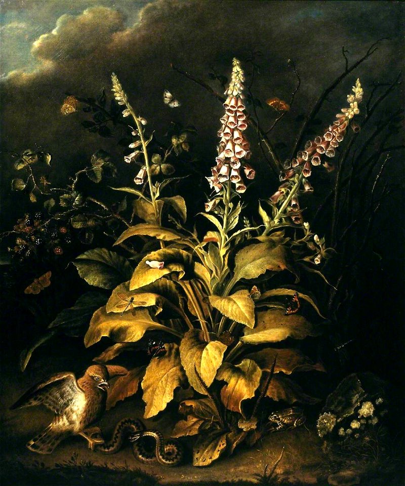 Thomas Weaver (1774-1843) - Foxgloves and Brambles, with a Hawk Confronting an Adder - T01586 - Tate