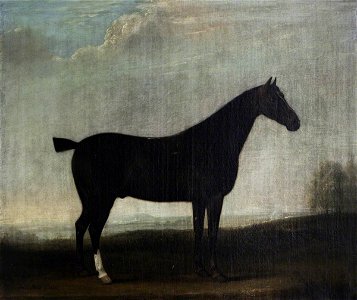 Thomas Weaver (1774-1843) - A Brown Horse in a Landscape - 1271092 - National Trust