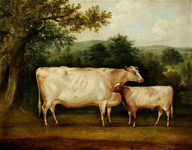 Thomas Weaver (1774-1843) - A Prize Cow and Calf in a Rural Wooded Landscape - 290473 - National Trust. Free illustration for personal and commercial use.