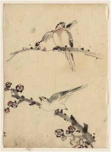 Three birds perched on branches, one with blossoms LCCN2009631926