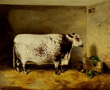 Thomas Walker Bretland (1802-1874) - A Prize Shorthorn Cow - 290295 - National Trust