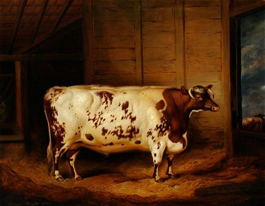 Thomas Weaver (1774-1843) - A Prize Shorthorn Ox - 290474 - National Trust