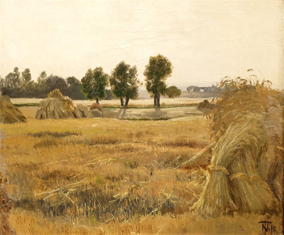 Thorvald Niss - Mark med korntraver - KMS3458 - Statens Museum for Kunst