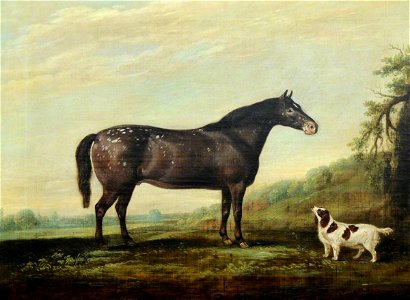 Thomas Weaver (1774-1843) - 'Mouse', a Grey Pony, and a Spaniel in a Landscape - 290348 - National Trust