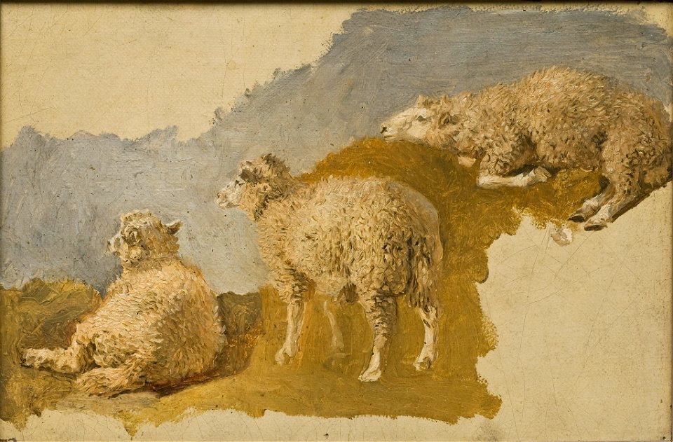 Three Sheep. Study (Kilian Zoll) - Nationalmuseum - 20046