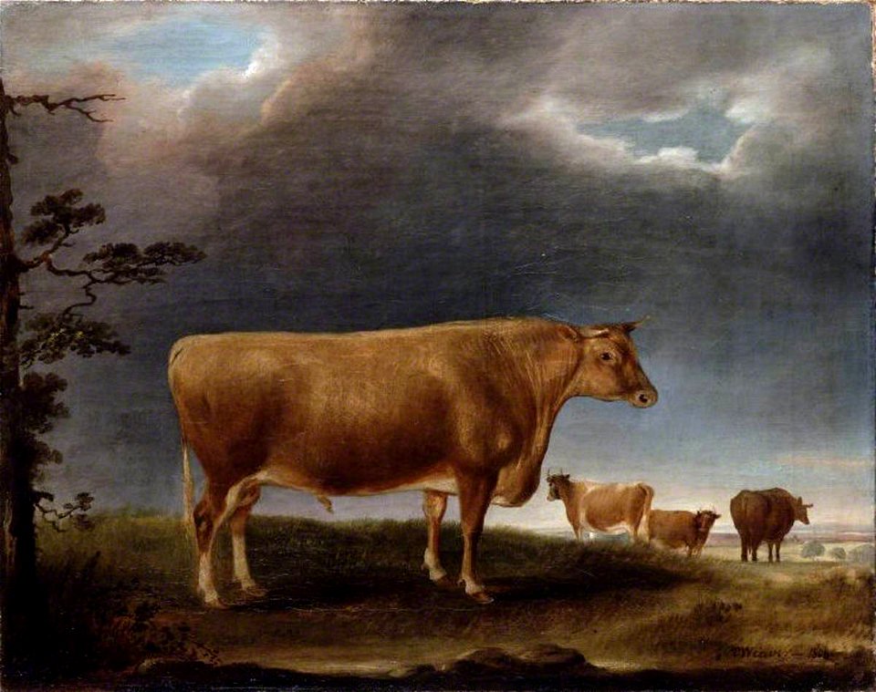 Thomas Weaver (1774-1843) - A Horned Cow in a Landscape, with Others - 1271105 - National Trust