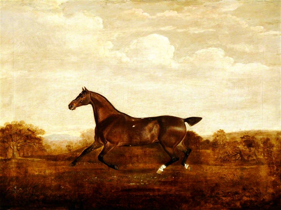 Thomas Weaver (1774-1843) - A Bay Hunter Called 'Scaramouche' - 290271 - National Trust