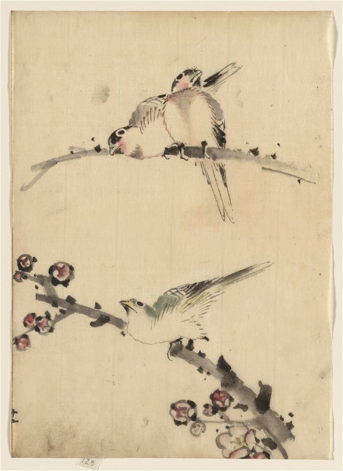 Three birds perched on branches, one with blossoms LCCN2009631926