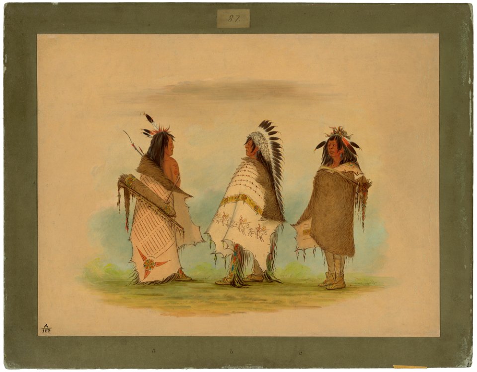 Three Shoshonee Warriors C16548
