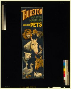 Thurston, master magician and his pets LCCN2014636957. Free illustration for personal and commercial use.