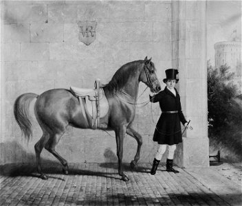 Thomas Woodward (1801-52) - August Röting with Barb - RCIN 407266 - Royal Collection
