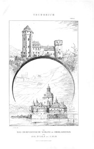 Thurmbuch Seite 115