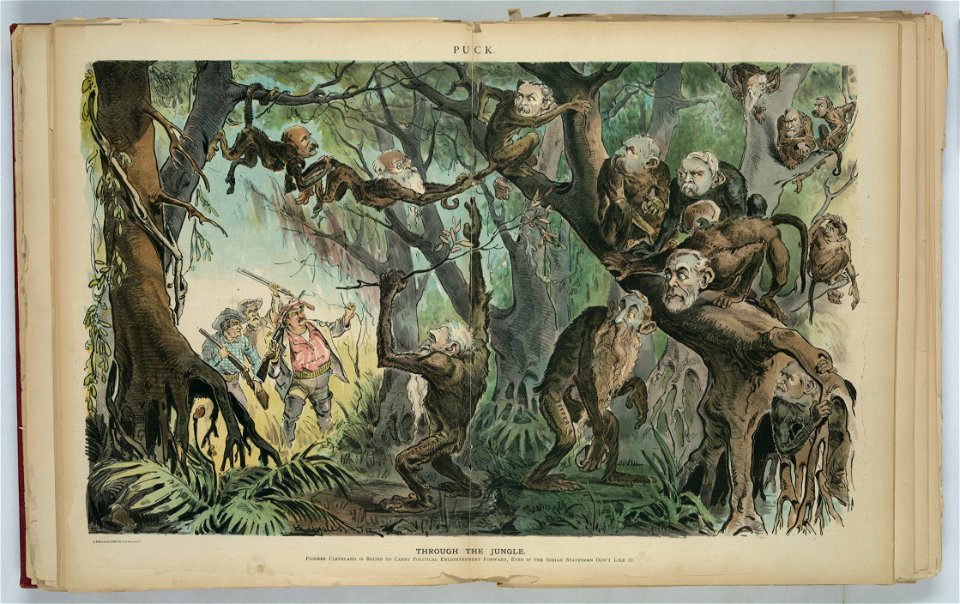 Through the jungle - Keppler, Jr. LCCN2012648787