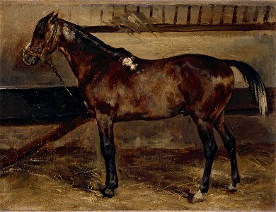 Théodore Géricault - Cheval brun à l'écurie - PDUT1712 - Musée des Beaux-Arts de la ville de Paris