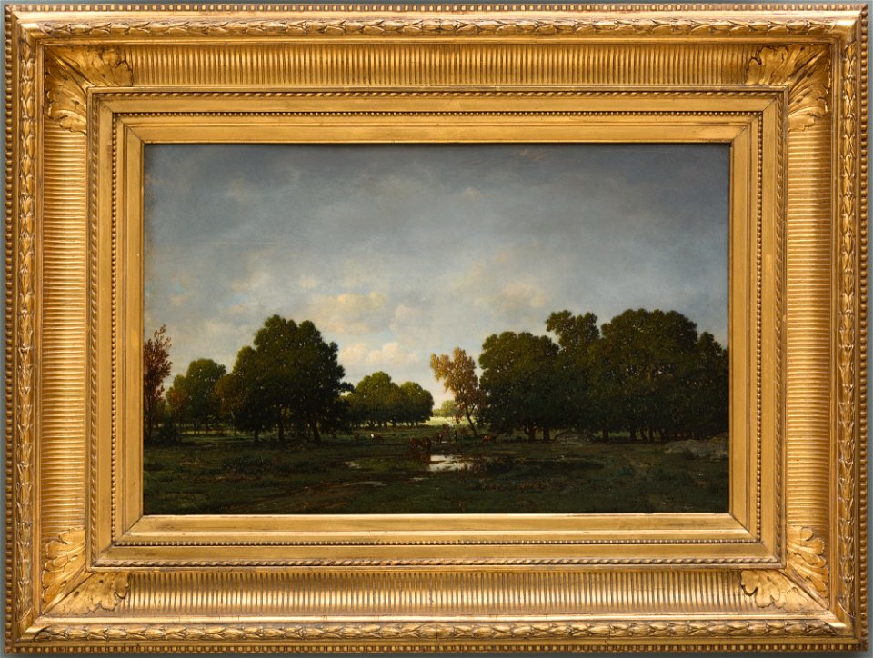 Théodore Rousseau - The Forest of Fontainebleau - 64.449 - Detroit Institute of Arts