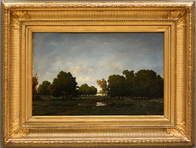 Théodore Rousseau - The Forest of Fontainebleau - 64.449 - Detroit Institute of Arts