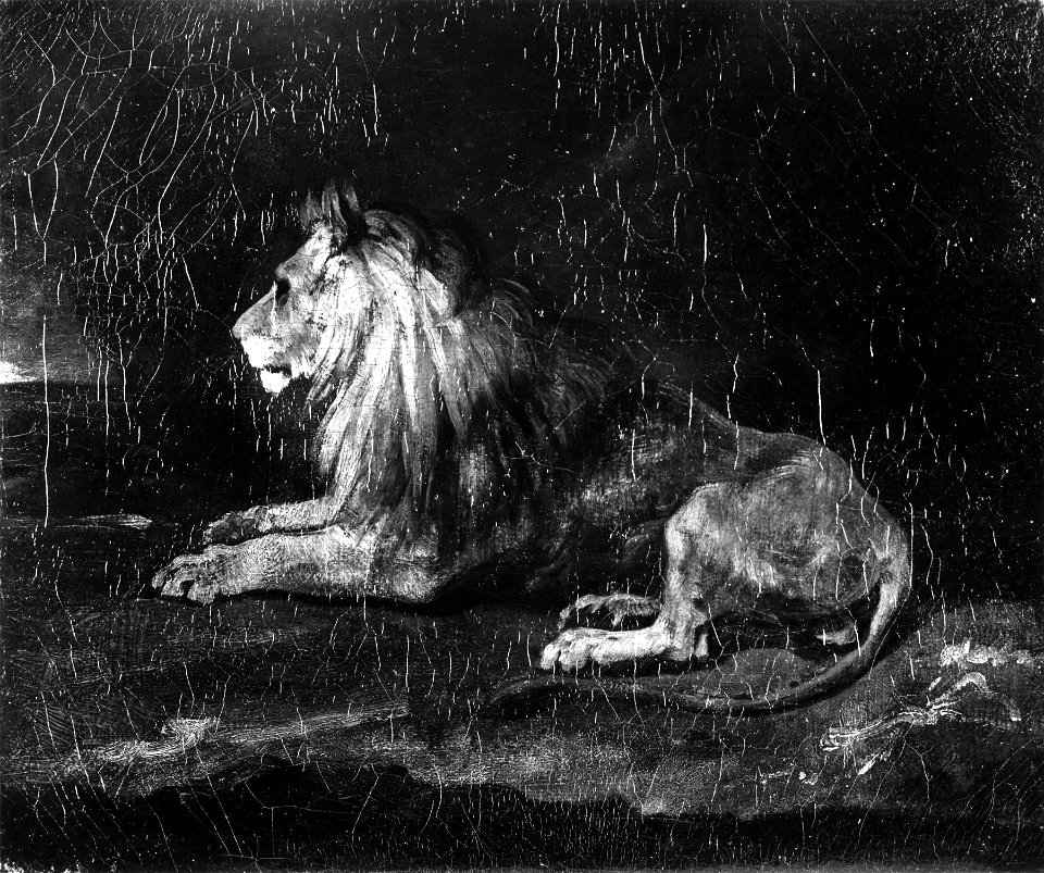 Théodore Géricault - Lion in Repose - Walters 37882