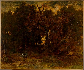 Théodore Rousseau - Leaving the Forest, Fontainebleau, Setting Sun - 1983.70 - Cleveland Museum of Art