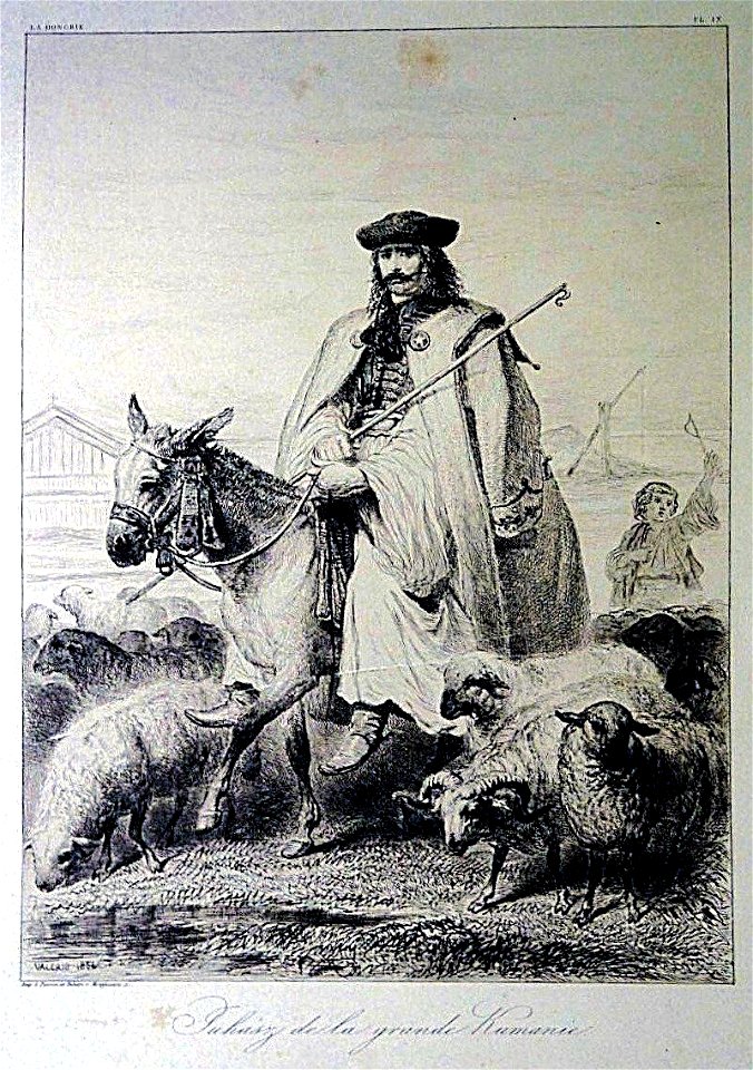Théodore Valério - un Juhasz de la grande Kumanie