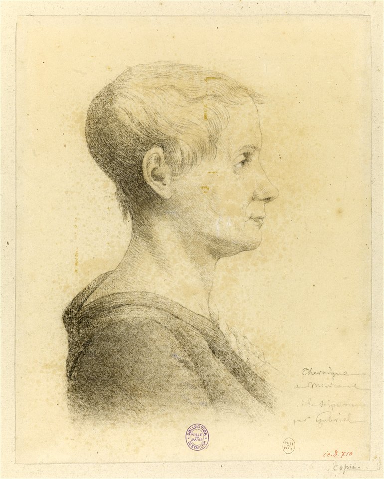 Théroigne de Méricourt à la Salpetrière
