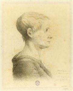 Théroigne de Méricourt à la Salpetrière