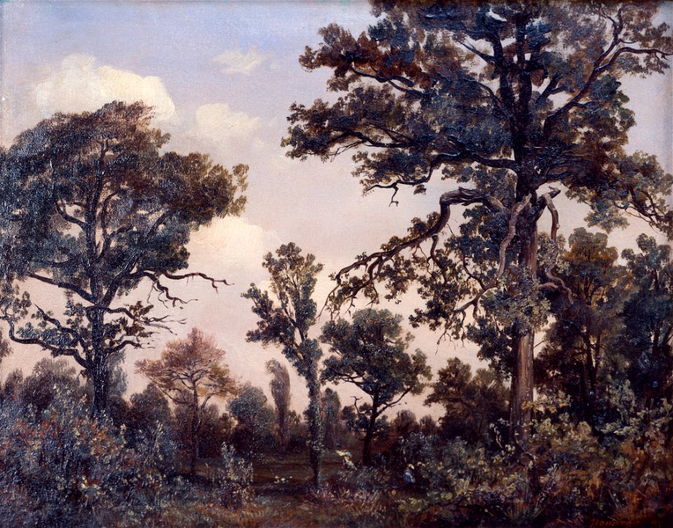 Théodore Rousseau - The Large Oak Tree, Forest of Fontainebleau - 91-2000 - Saint Louis Art Museum