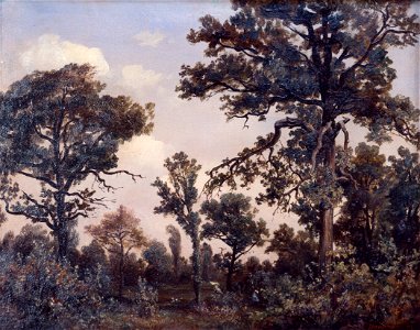 Théodore Rousseau - The Large Oak Tree, Forest of Fontainebleau - 91-2000 - Saint Louis Art Museum