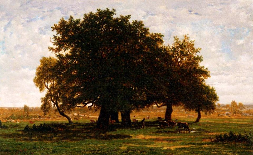 Théodore Rousseau - Oak Grove, Apremont - WGA20167