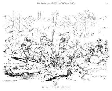 Théophile Schuler - Les bûcherons et les schlitteurs des Vosges - 1878 - extraction des souches