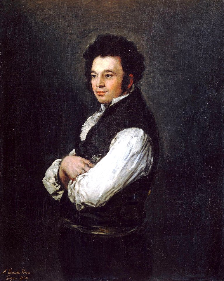 Tiburcio Pérez y Cuervo, Francisco de Goya